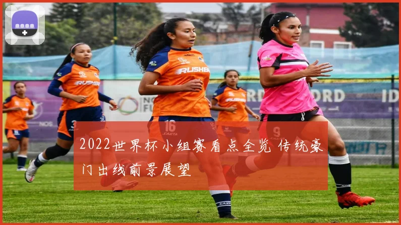 2022世界杯小组赛看点全览 传统豪门出线前景展望