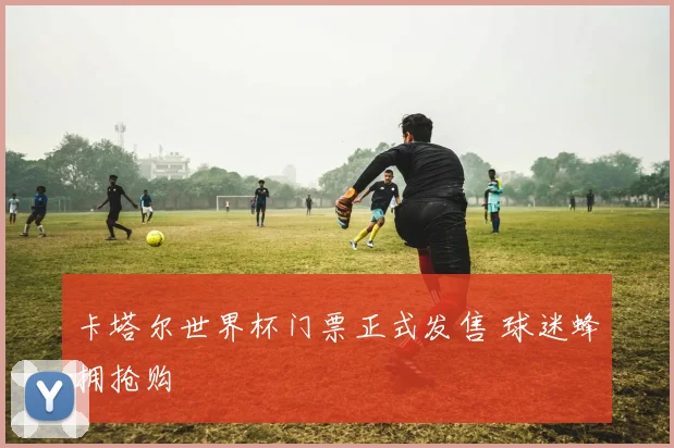 卡塔尔世界杯门票正式发售 球迷蜂拥抢购