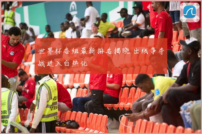 世界杯各组最新排名揭晓 出线争夺战进入白热化