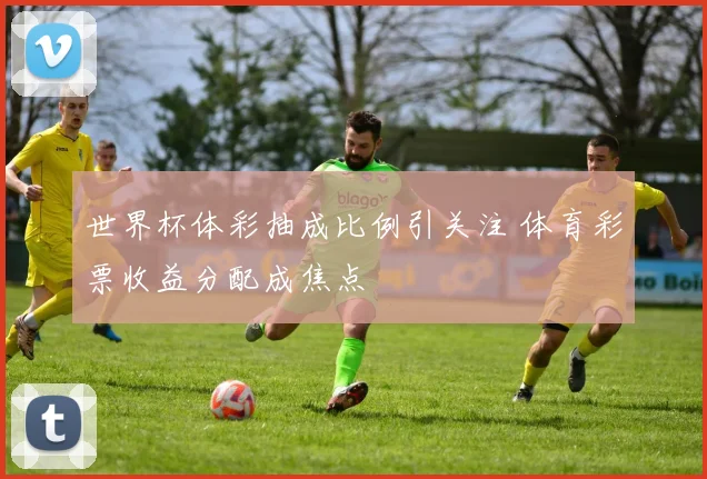 世界杯体彩抽成比例引关注 体育彩票收益分配成焦点